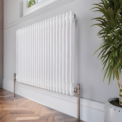 Traditional Horizontal Double Column Radiator