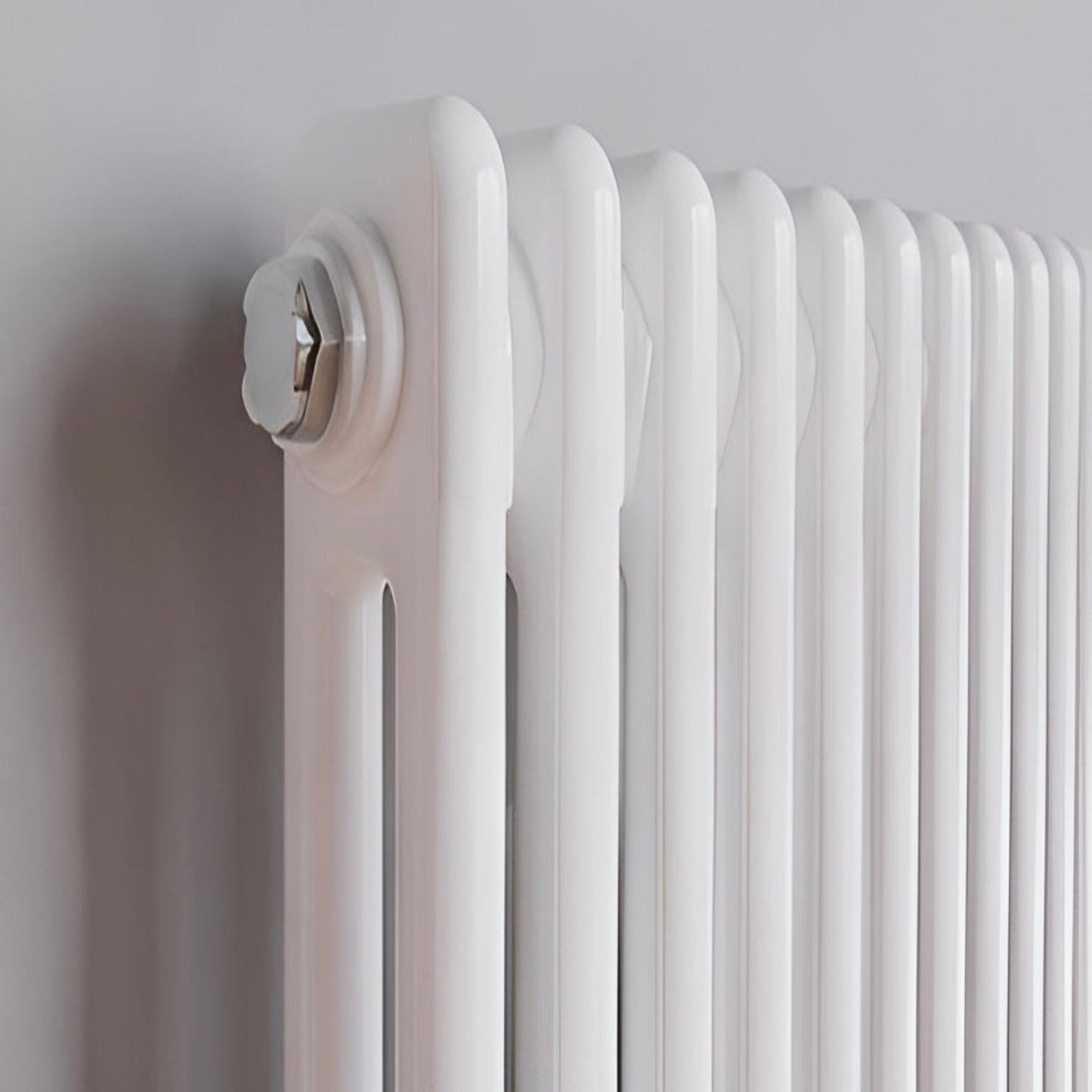 Traditional Horizontal Double Column Radiator