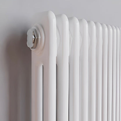 Traditional Horizontal Double Column Radiator