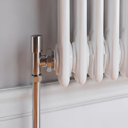 Traditional Horizontal Double Column Radiator